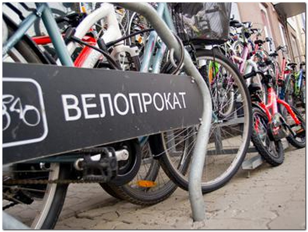 Як відкрити прокат велосипедів?