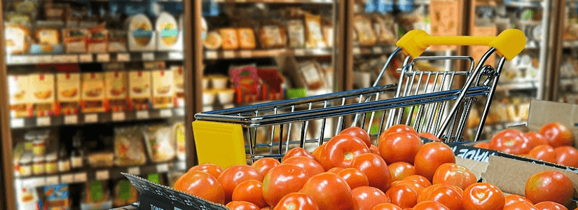 Як організувати бізнес з вирощування помідорів на продаж?