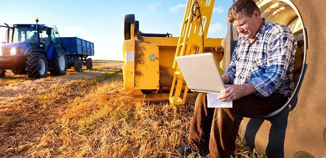 Як заробити в селі? Ідеї для прибуткового бізнесу